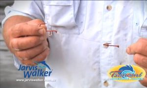 VIDEO: How To Series 2 – Rigging live baits